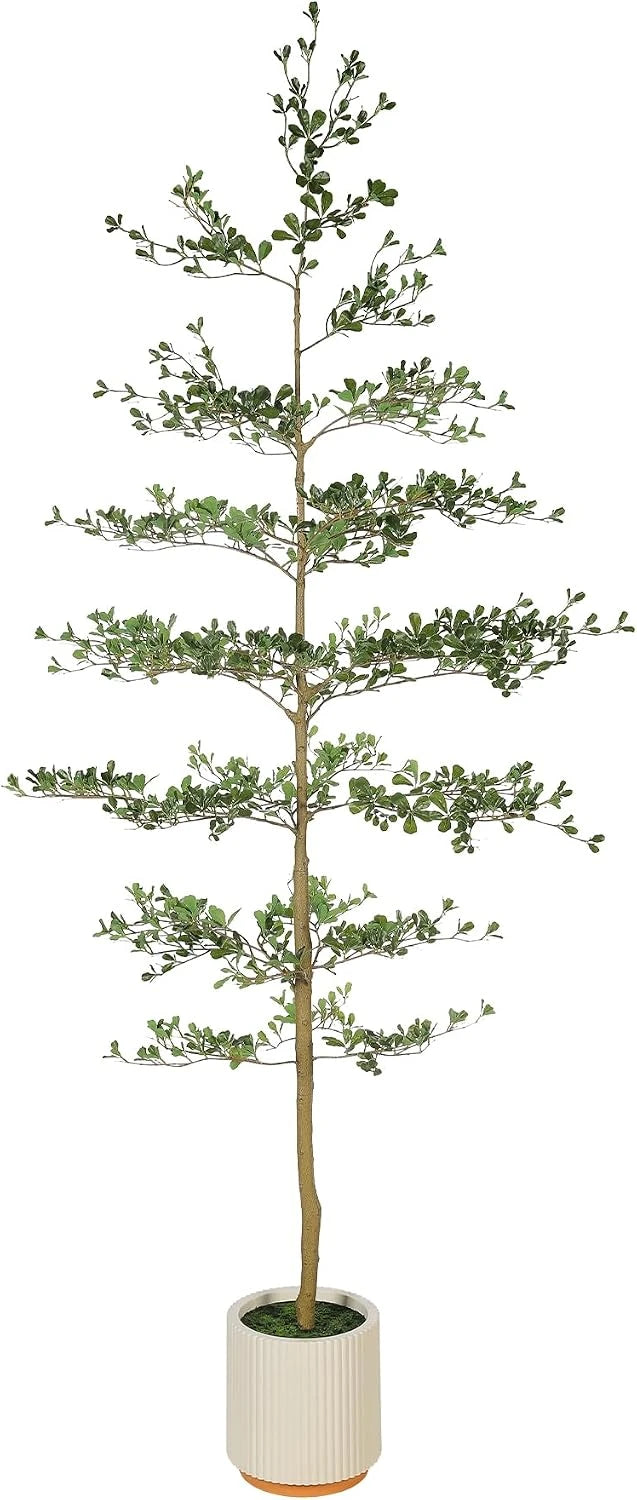 Faux Black Olive Tree