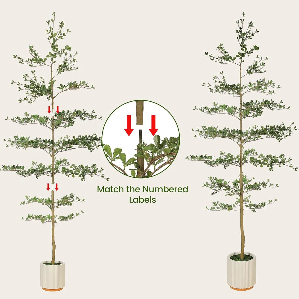 Faux Black Olive Tree