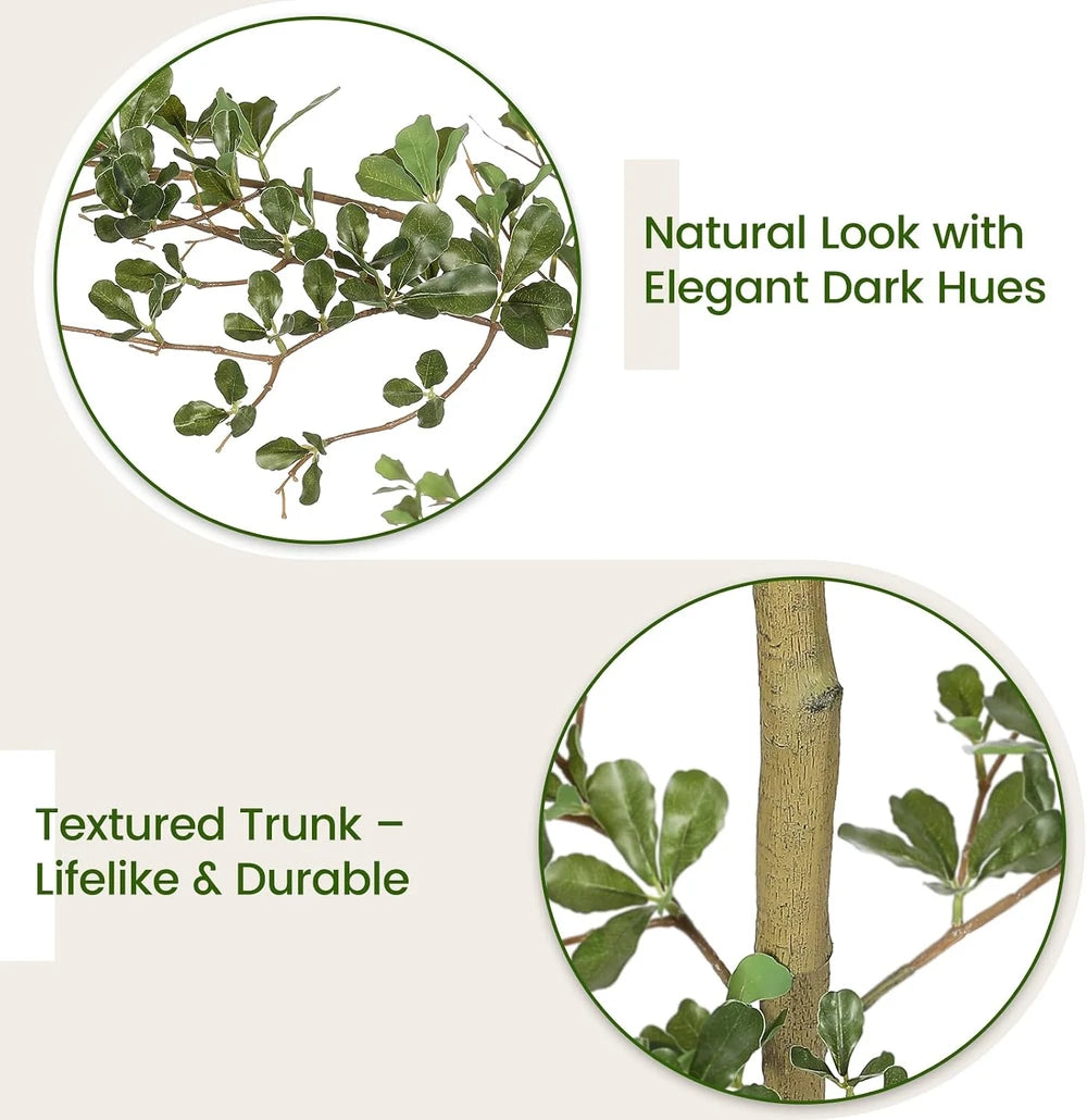 Faux Black Olive Tree